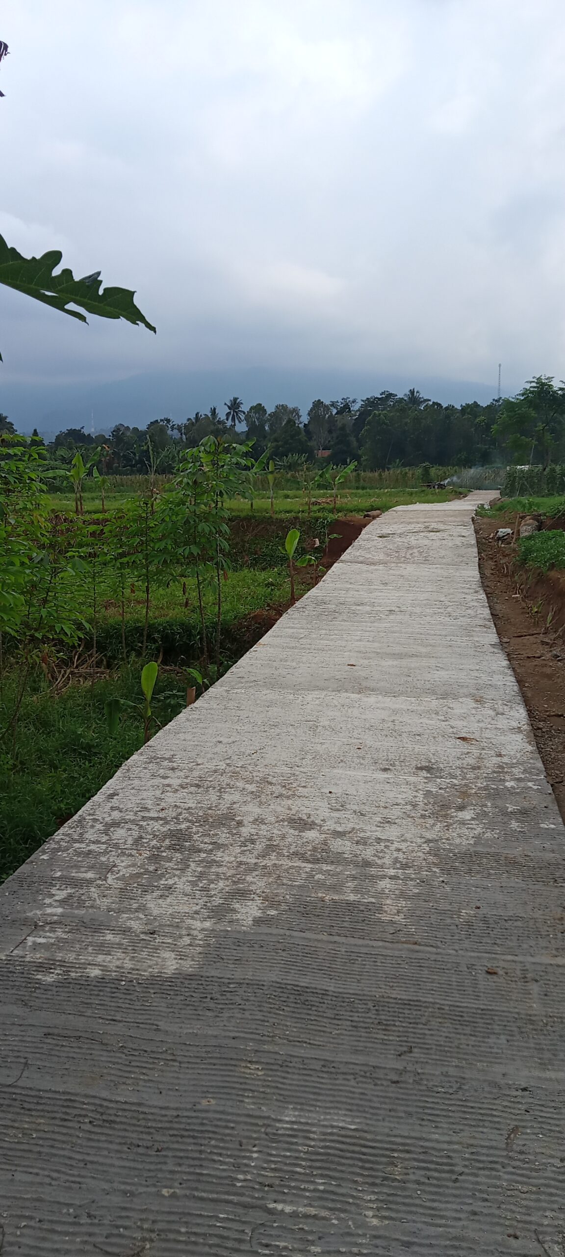 Pembangunan Rehabilitasi Dan Pemeliharaan Jalan Usaha Tani